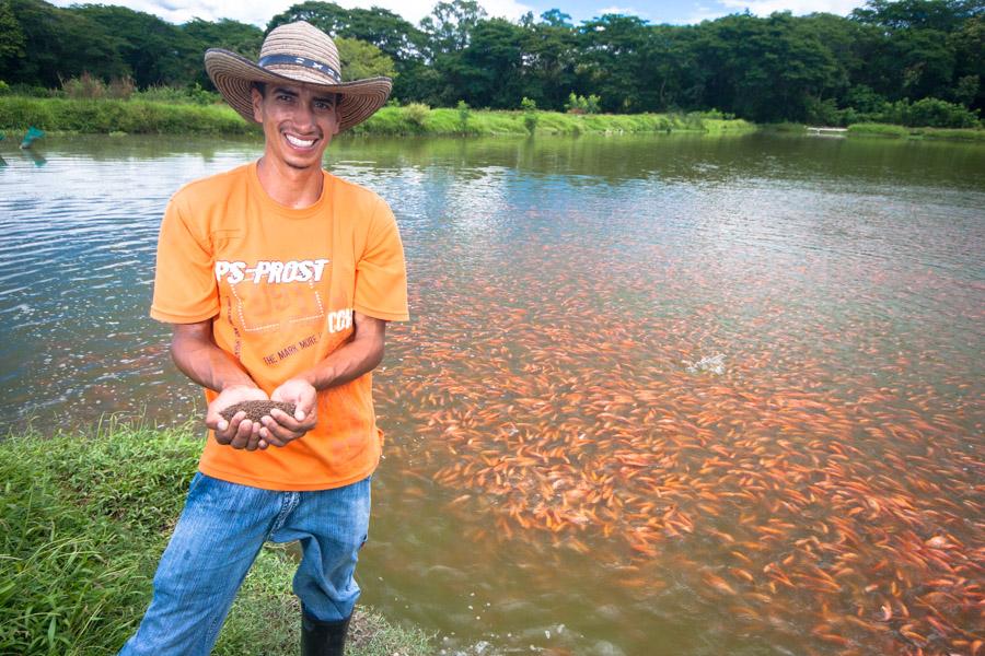 Alimentando a los peces