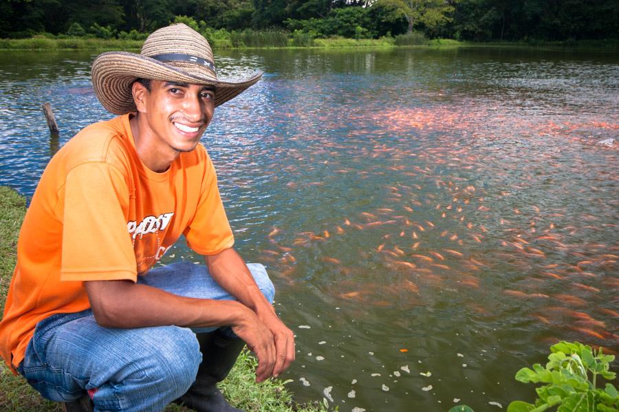 Alimentando a los peces