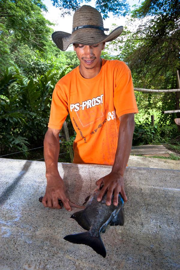 Hombre preparando un pescado para su cocción 