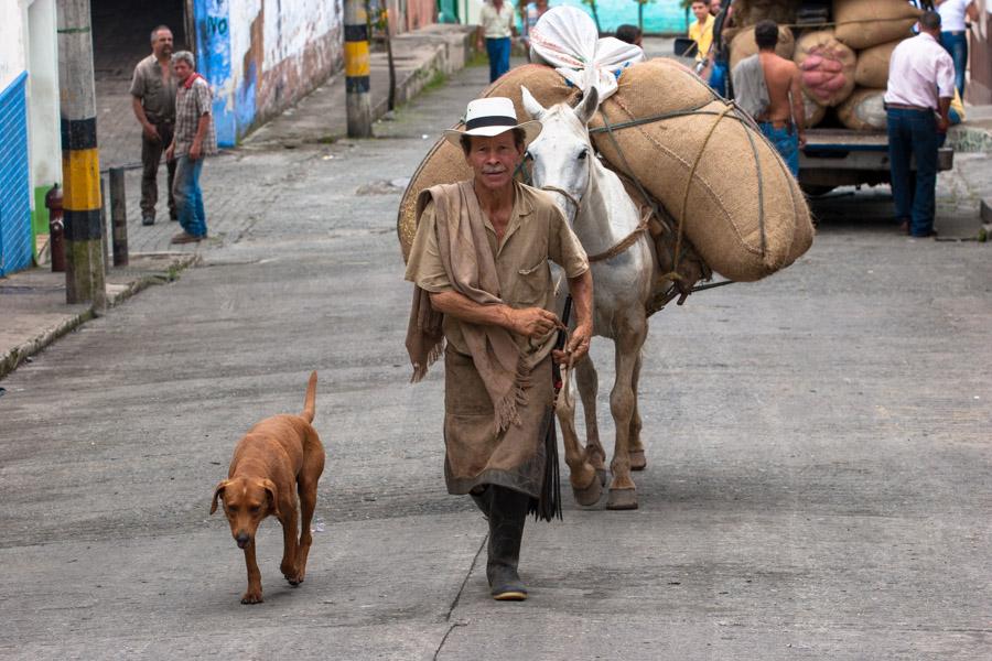 Arriero en Tamesis, Antioquia, Colombia