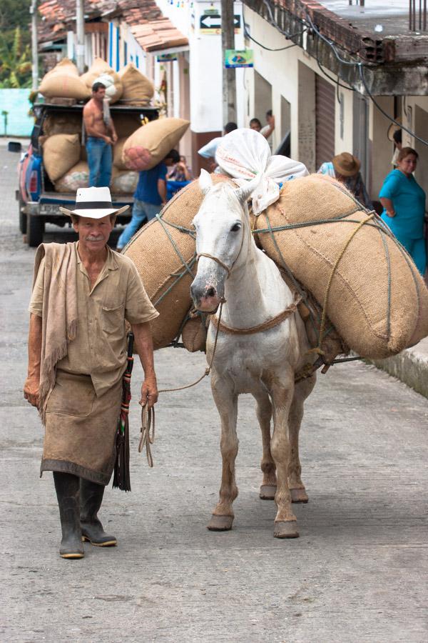 Arriero en Tamesis, Antioquia, Colombia