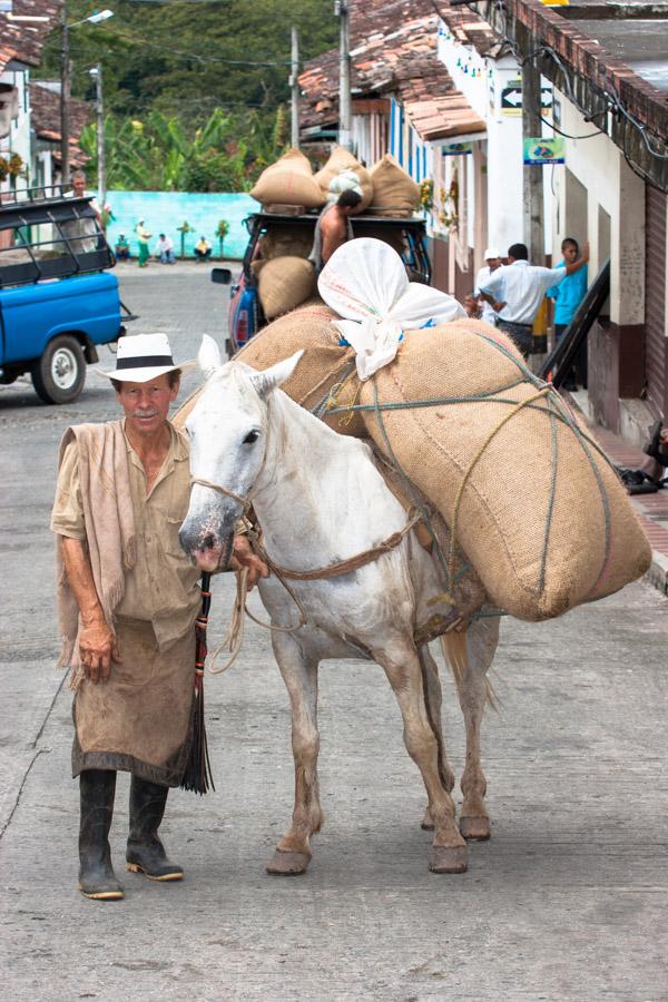 Arriero en Tamesis, Antioquia, Colombia