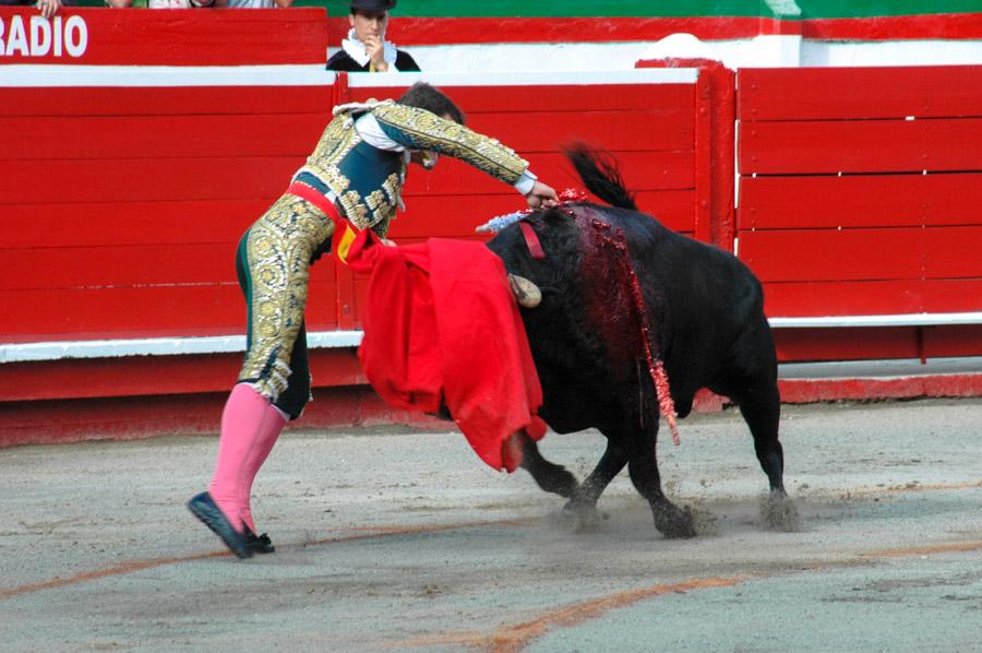 Corrida en Plaza de Toros de Manizales