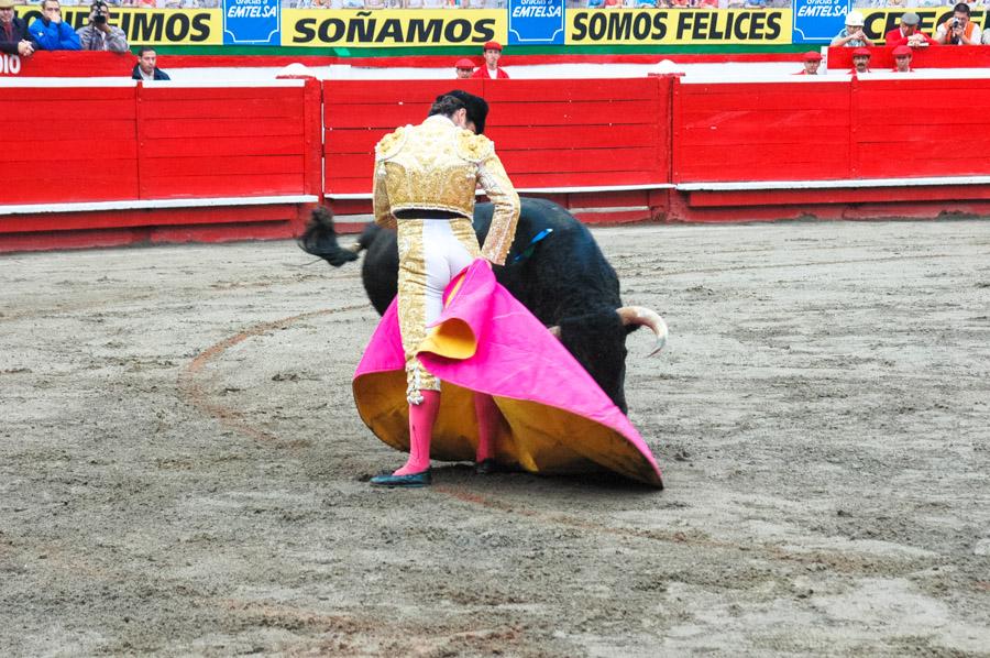 Corrida en Plaza de Toros de Manizales