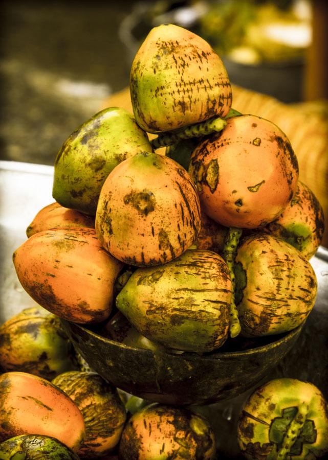 Chontaduros, Quibdo, Choco, Colombia