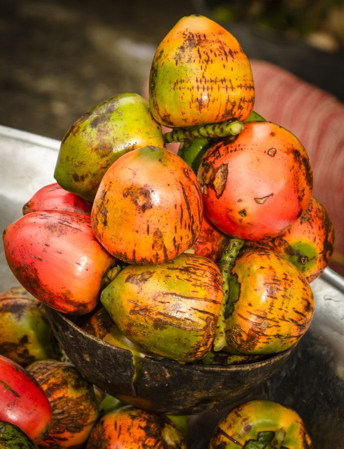 Chontaduros, Quibdo, Choco, Colombia