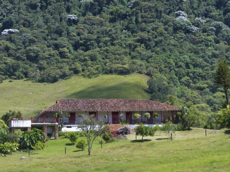 Hacienda en Cerro Bravo, Fredonia, Suroeste Antioq...