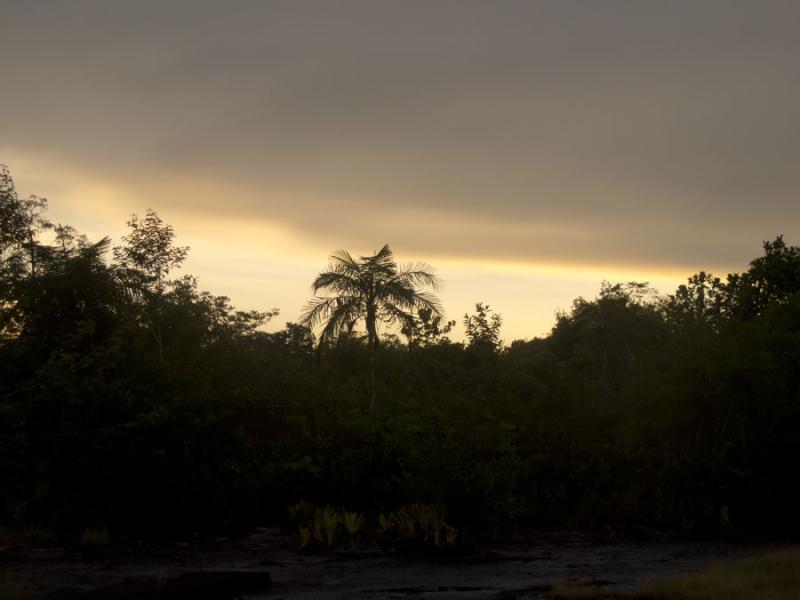 Serrania de la Lindosa, San Jose del Guaviare, Gua...