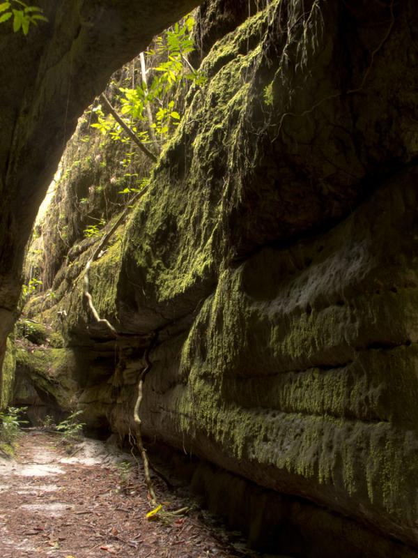 Serrania de la Lindosa, San Jose del Guaviare, Gua...