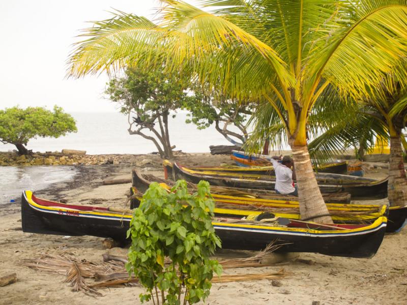 Palmeras y Canoas en Playa Zona el Frances, Tolu, ...