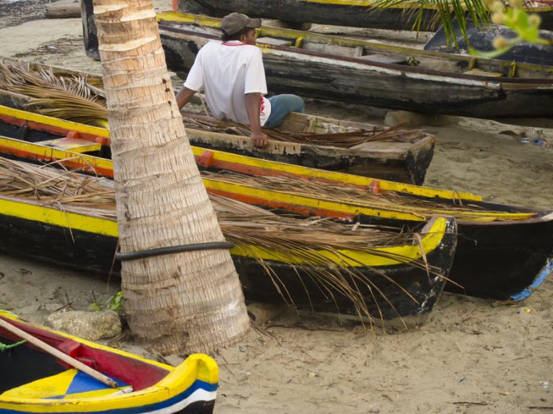 Palmeras y Canoas en Playa Zona el Frances, Tolu, ...