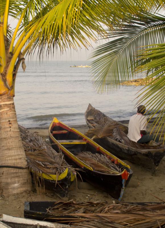 Palmeras y Canoas en Playa Zona el Frances, Tolu, ...