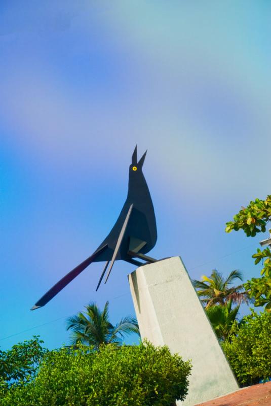 Pajaro Maria Mulata, Cartagena, Bolivar, Colombia