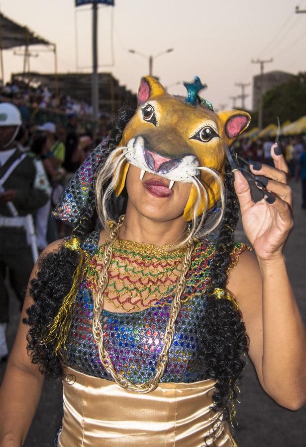 Mujer disfrazada de Felino en la Batalla de Flores...