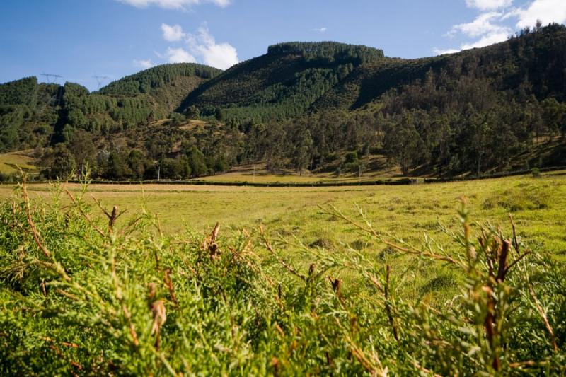 Paisaje de Sopo, Cundinamarca, Sabana Centro, Colo...