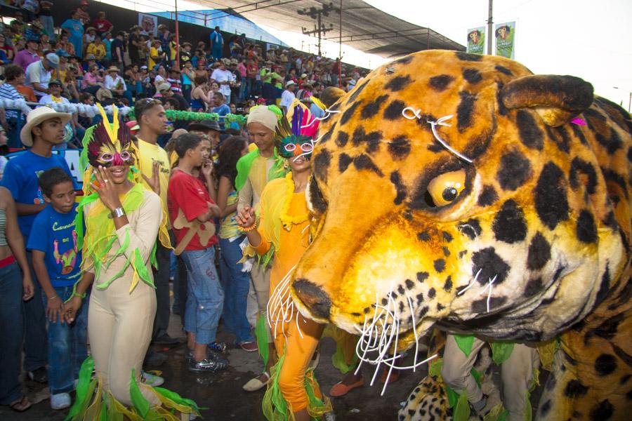 Comparsa Desfilando en la Batalla de Flores, Carna...