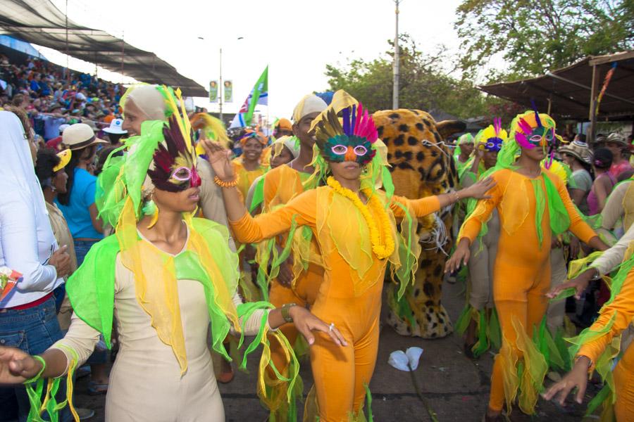 Comparsa Desfilando en la Batalla de Flores, Carna...