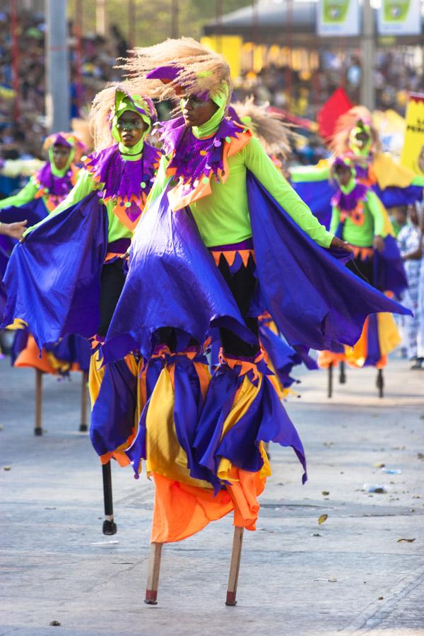 Comparsa en el Desfile de Fantasia, Carnaval de Ba...