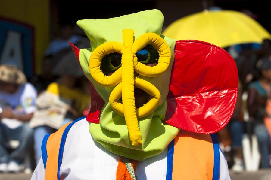 Marimonda, Gran Parada, Carnaval de Barranquilla, ...