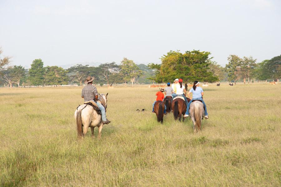 Grupo de Personas Montado a Caballo en Monteria, C...