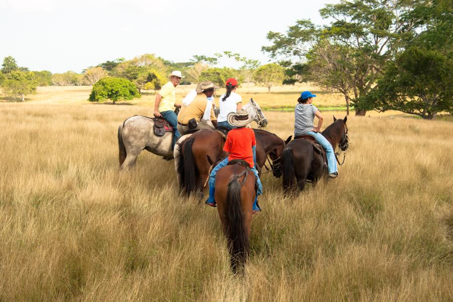 Grupo de Personas Montado a Caballo en Monteria, C...