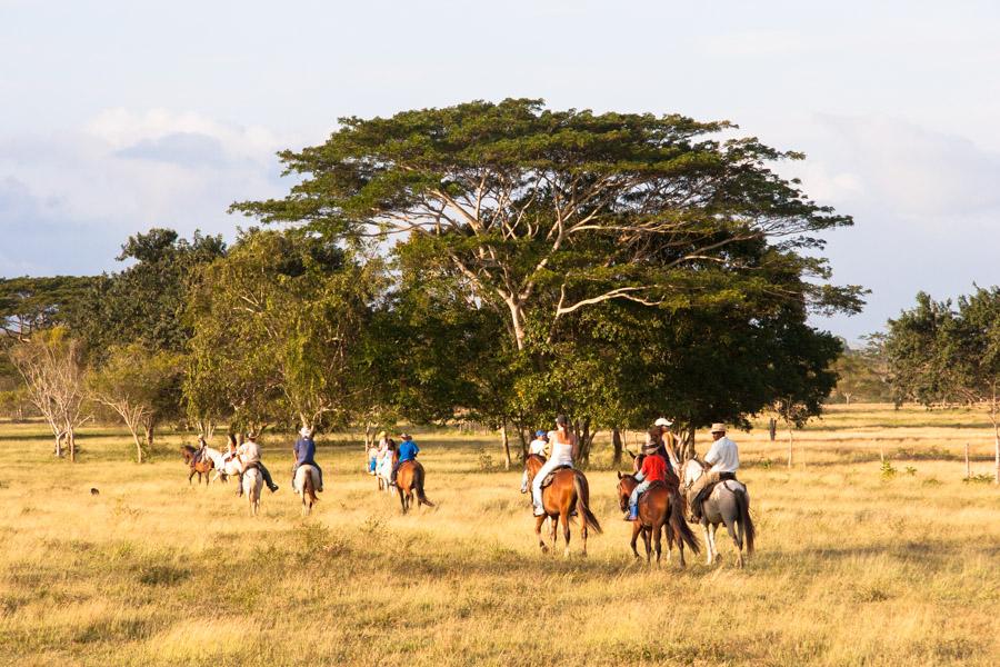 Grupo de Personas Montado a Caballo en Monteria, C...