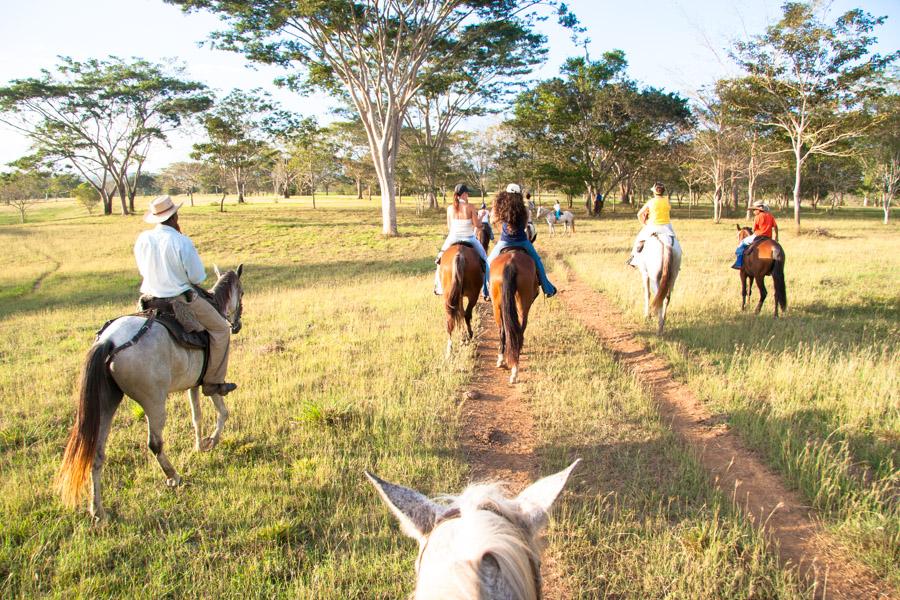 Grupo de Personas Montado a Caballo en Monteria, C...