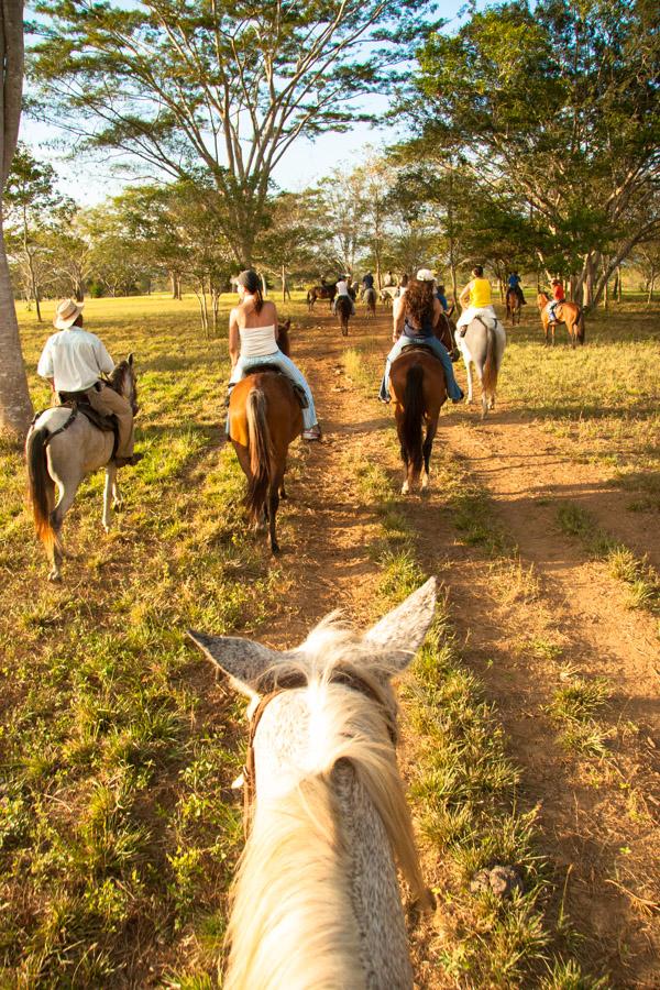 Grupo de Personas Montado a Caballo en Monteria, C...