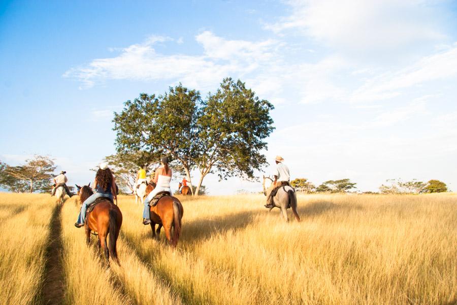 Grupo de Personas Montado a Caballo en Monteria, C...