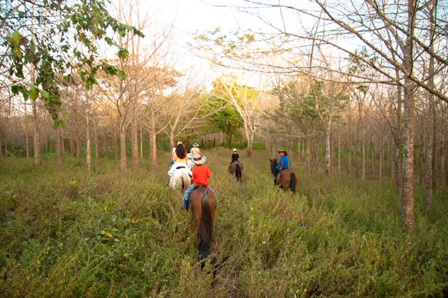 Grupo de Personas Montado a Caballo en Monteria, C...