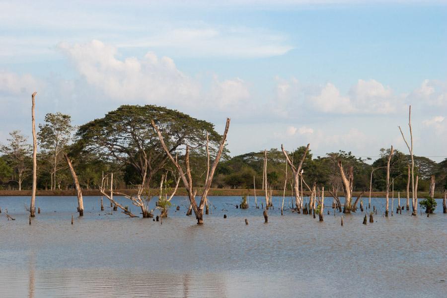 Laguna, Monteria, Cordoba, Colombia