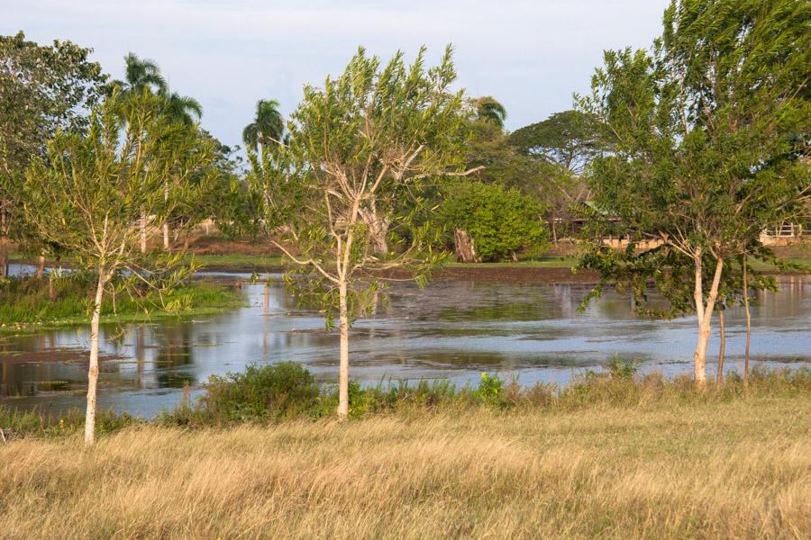 Laguna, Monteria, Cordoba, Colombia