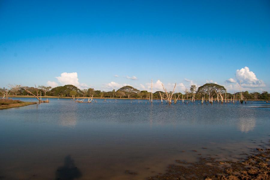 Laguna, Monteria, Cordoba, Colombia