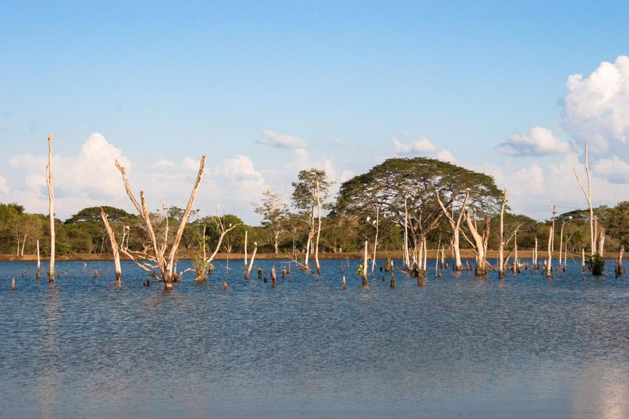 Laguna, Monteria, Cordoba, Colombia