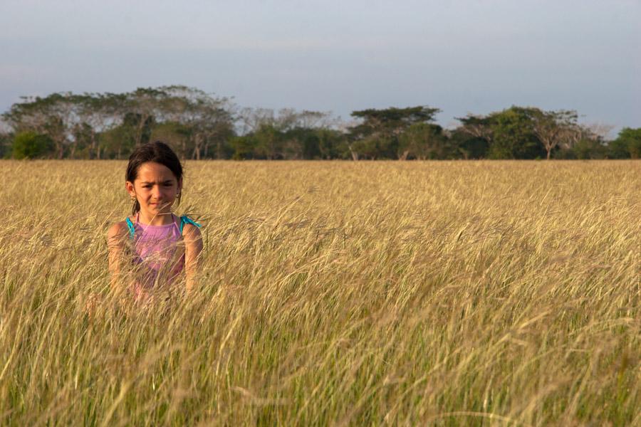 Retrato de una Niña Sentada en el Campo