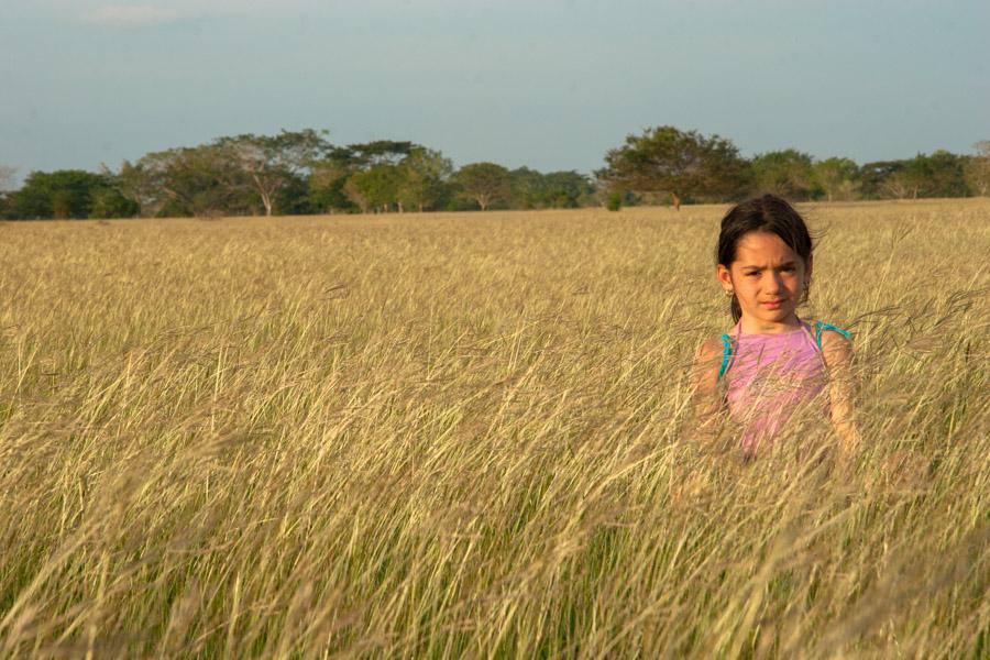 Retrato de una Niña Sentada en el Campo