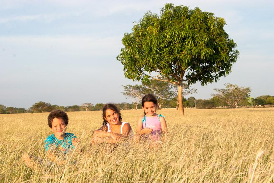 Retrato de unos Niños Sentados en el Campo 