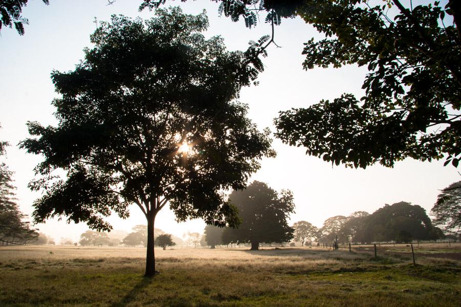 Paisaje en Monteria, Cordoba, Colombia