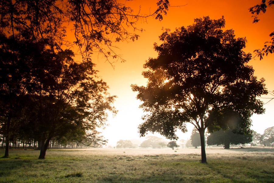 Paisaje en Monteria, Cordoba, Colombia