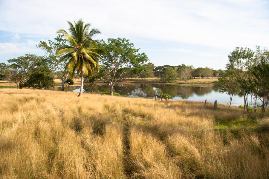 Paisaje en Monteria, Cordoba, Colombia