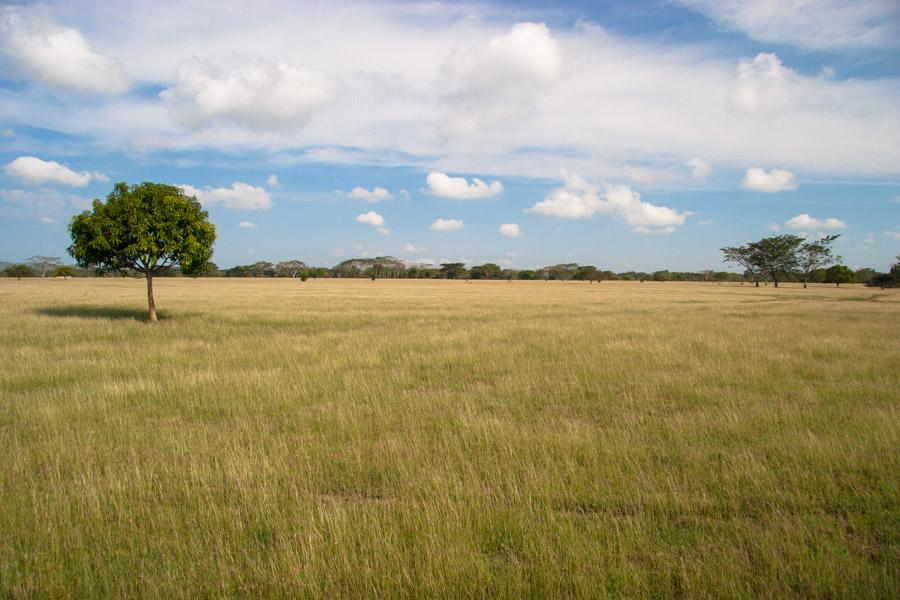 Paisaje en Monteria, Cordoba, Colombia