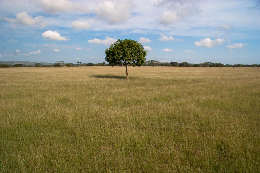 Paisaje en Monteria, Cordoba, Colombia