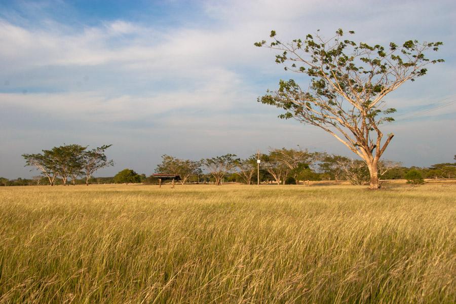 Paisaje en Monteria, Cordoba, Colombia