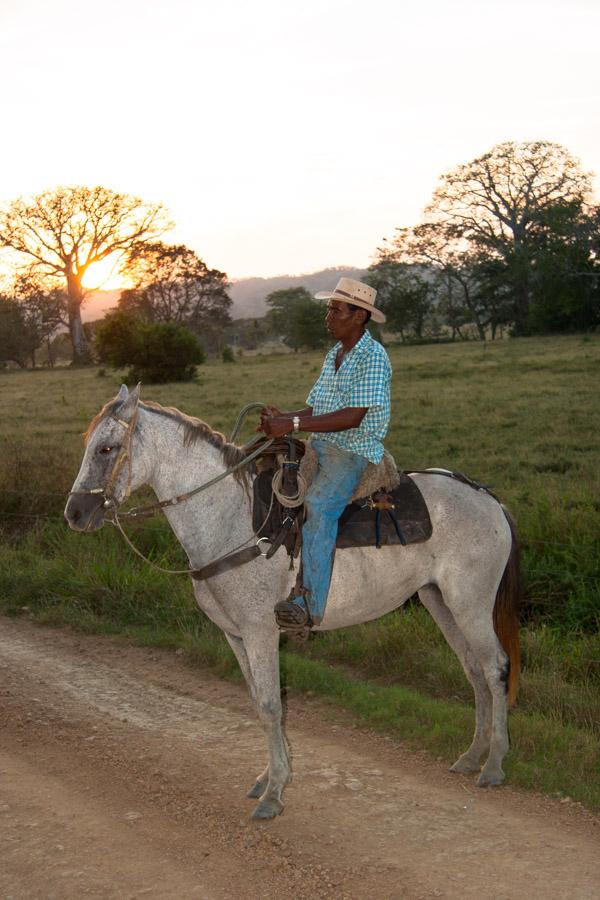 Hombre Montando a Caballo en Monteria, Cordoba, Co...