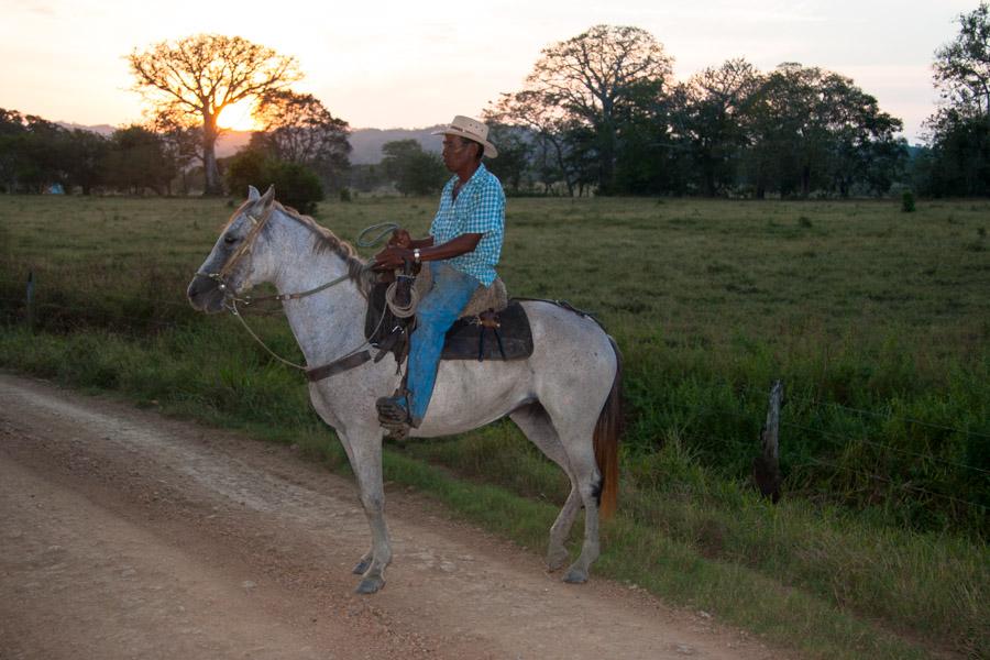 Hombre Montando a Caballo en Monteria, Cordoba, Co...