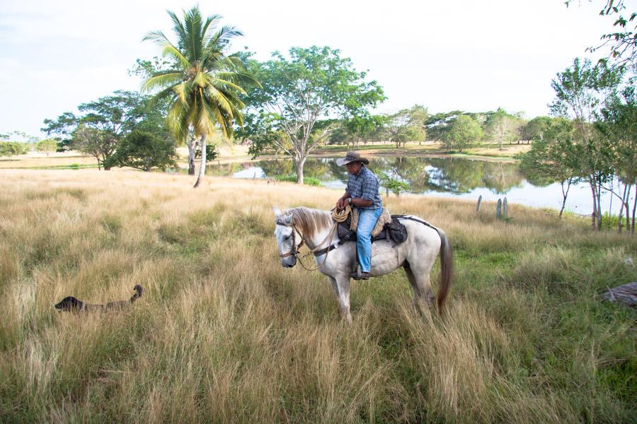 Hombre Montando a Caballo en Monteria, Cordoba, Co...