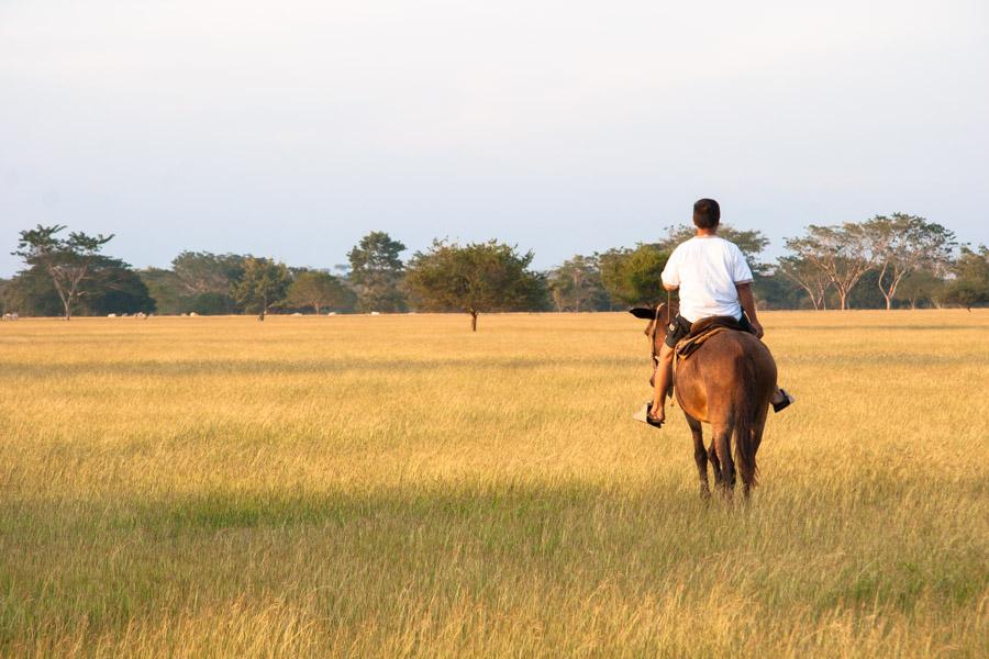 Hombre Montando a Caballo en Monteria, Cordoba, Co...