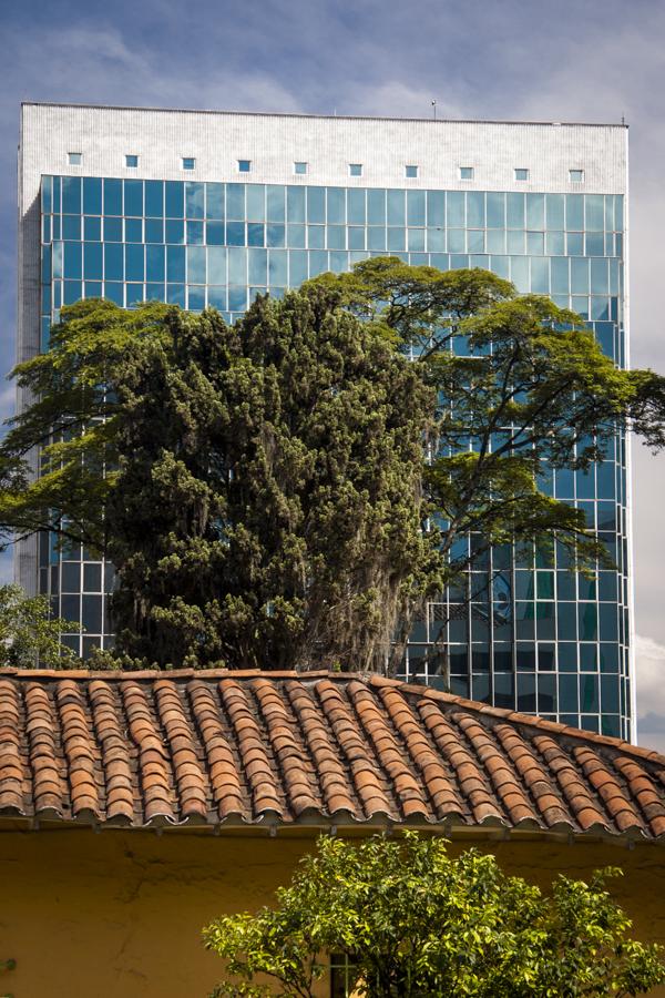 El Poblado, Medellin, Antioquia, Colombia