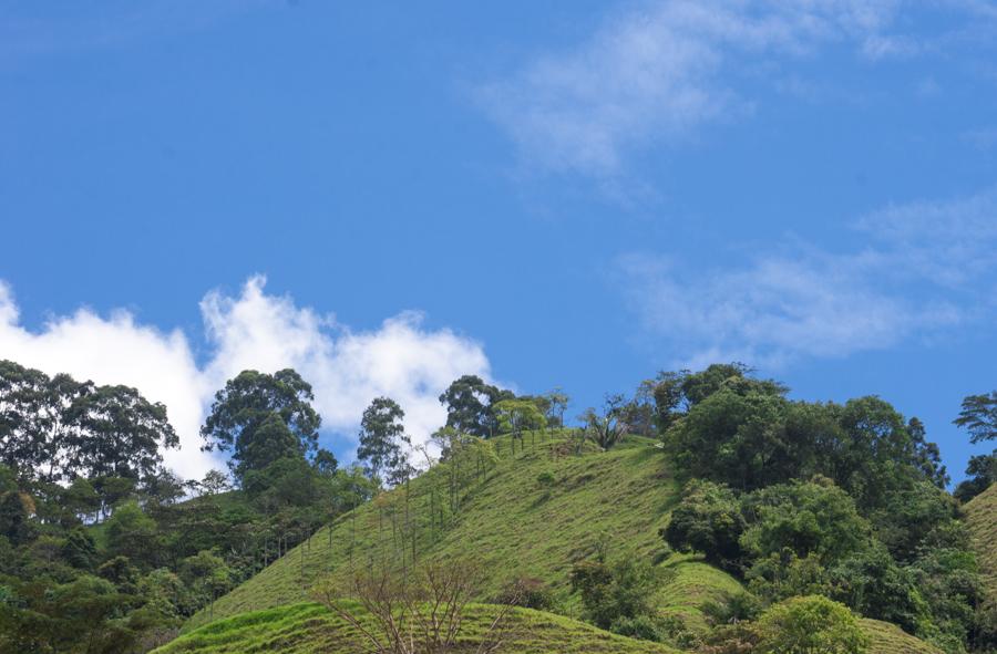 Paisaje de montañas