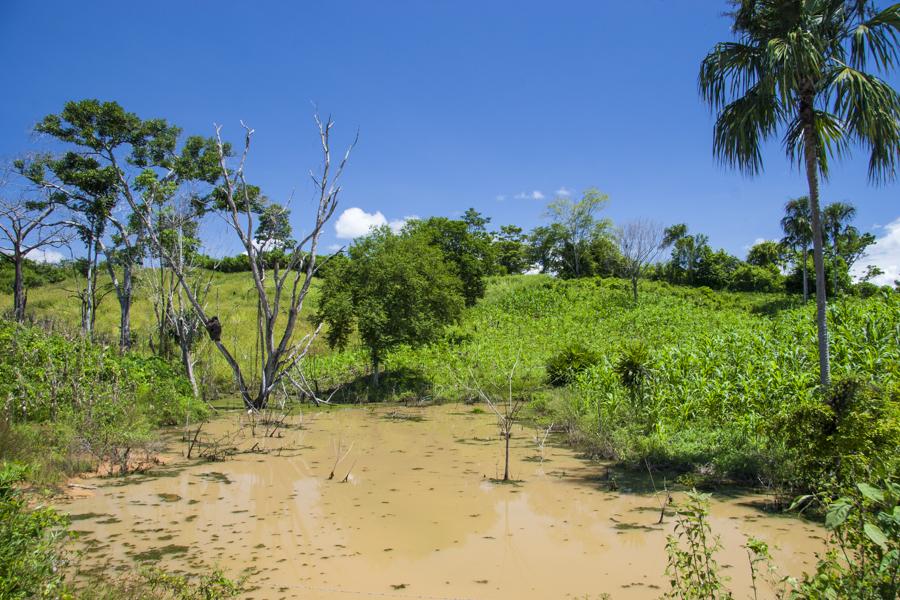 Paisaje en Montelibano, Corboba, Colombia